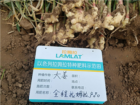 水溶肥，微生物菌劑，拉姆拉