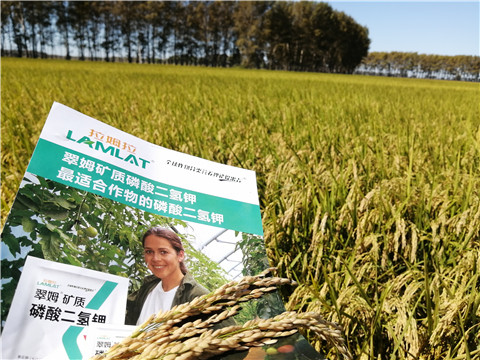 葉面肥，磷酸二氫鉀，安碧解