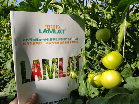 微生物菌劑，拉姆拉，伯示麥