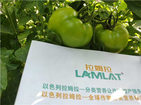 微生物菌劑，拉姆拉，伯示麥