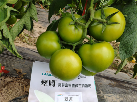 葉面肥，微生物菌劑，磷酸二氫鉀