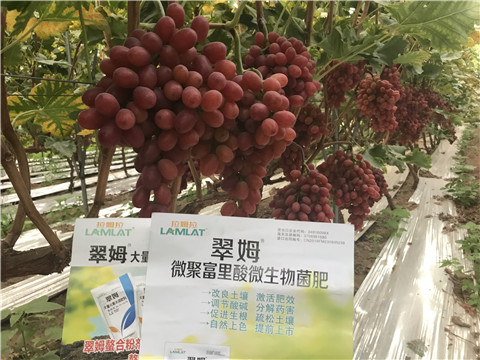 微生物菌劑，硼肥，鈣肥