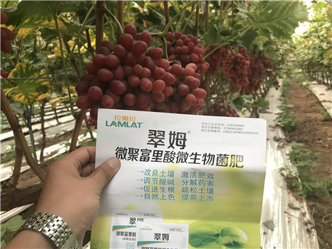 微生物菌劑，硼肥，鈣肥