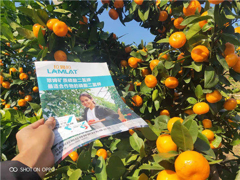 磷酸二氫鉀，硼肥，拉姆拉