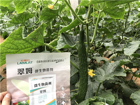 微生物菌劑，水溶肥，拉姆拉
