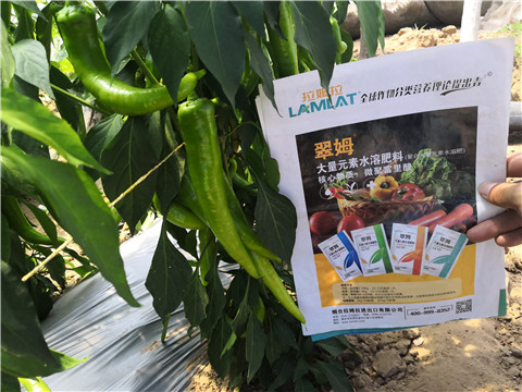 微生物菌劑，復(fù)合肥料，拉姆拉