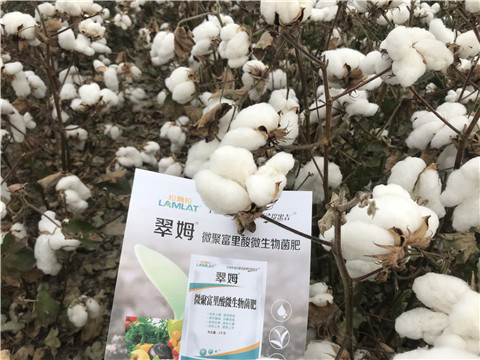 微生物菌劑，根碧多，拉姆拉