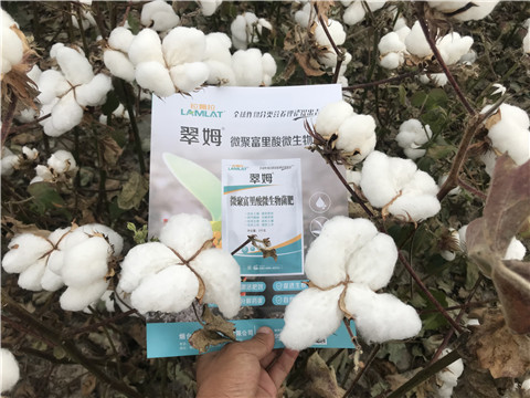 微生物菌劑，根碧多，拉姆拉