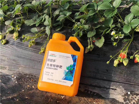 根碧多，微生物菌劑，拉姆拉