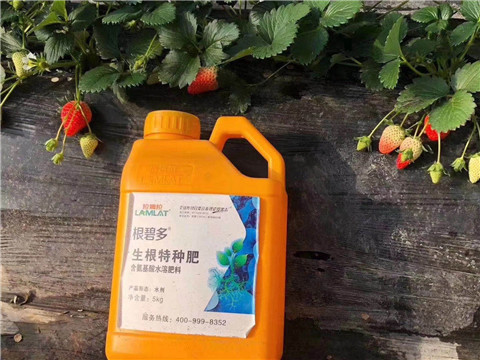 根碧多，微生物菌劑，拉姆拉