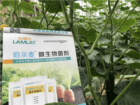 微生物菌劑，生根劑，拉姆拉
