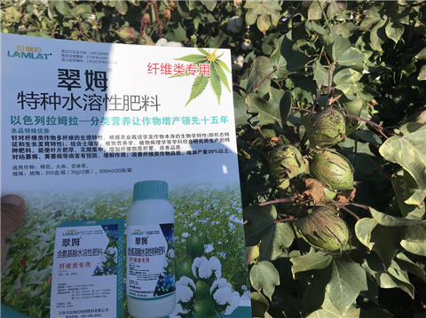 葉面肥，拉姆拉