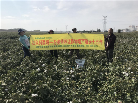 葉面肥，拉姆拉