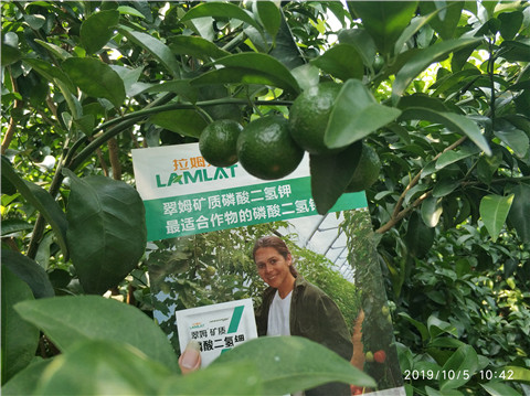 磷酸二氫鉀，拉姆拉