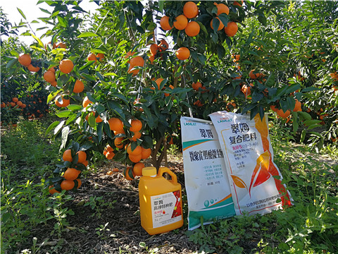 水溶肥，拉姆拉