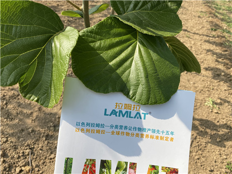 大量元素水溶肥，拉姆拉