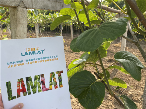 大量元素水溶肥，拉姆拉