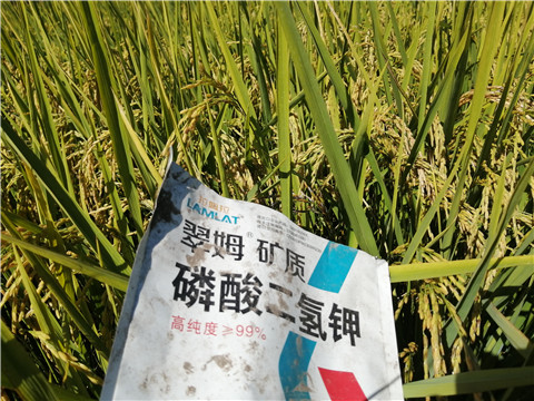 磷酸二氫鉀，翠姆，拉姆拉