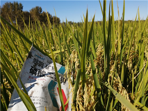 磷酸二氫鉀，翠姆，拉姆拉