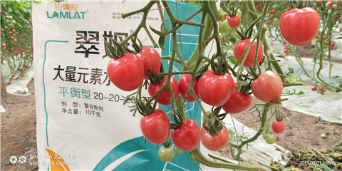 水溶肥，翠姆，拉姆拉