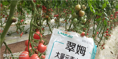 水溶肥，翠姆，拉姆拉