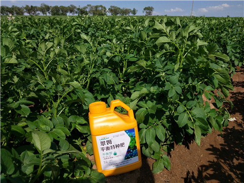 水溶肥，翠姆，拉姆拉