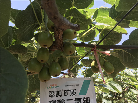 磷酸二氫鉀，拉姆拉