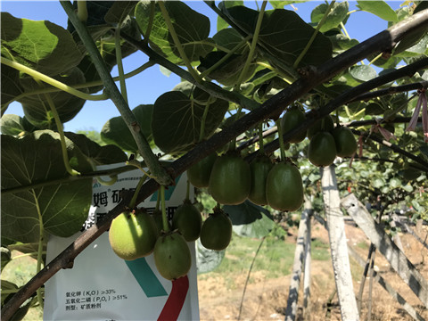 磷酸二氫鉀，拉姆拉