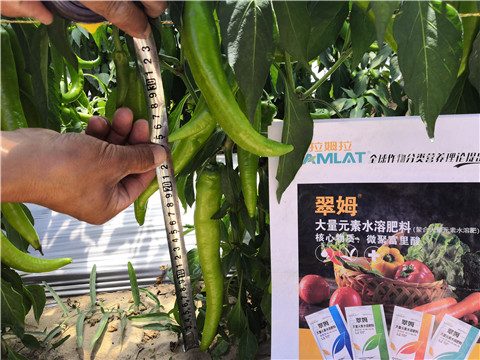 復(fù)合肥料，拉姆拉