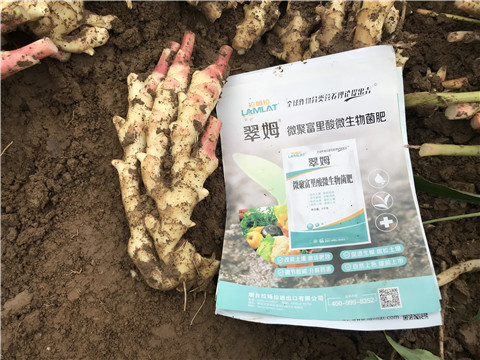 微生物菌劑，翠姆，拉姆拉