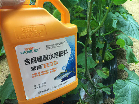 生根劑，魚蛋白水溶肥，拉姆拉