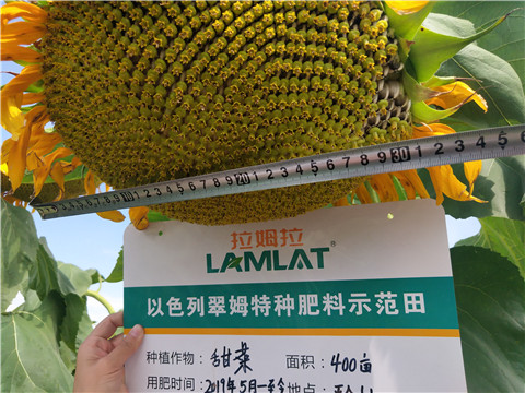 水溶肥，微生物菌劑，拉姆拉