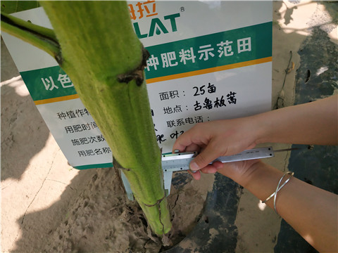 水溶肥，微生物菌劑，拉姆拉