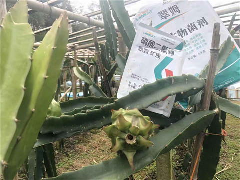 磷酸二氫鉀，翠姆，拉姆拉