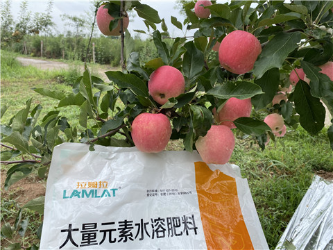 水溶肥，翠姆，拉姆拉