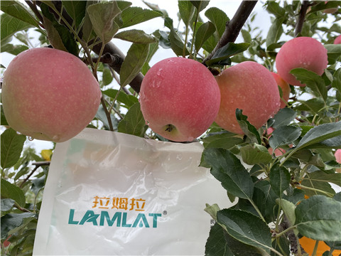 水溶肥，翠姆，拉姆拉