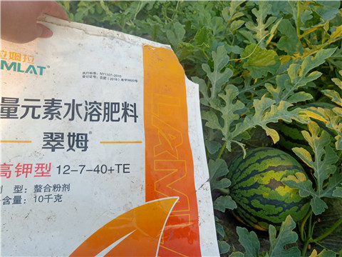 水溶肥，拉姆拉，翠姆