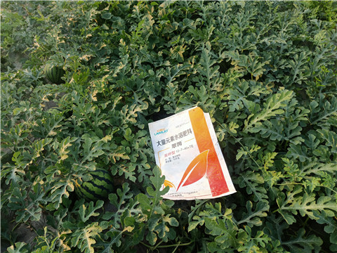 水溶肥，拉姆拉，翠姆