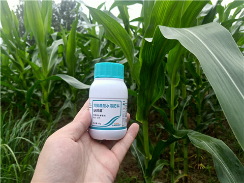 安碧解，拉姆拉