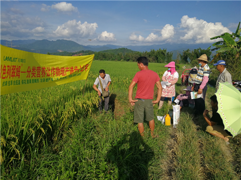 葉面肥，水稻灌漿肥，拉姆拉