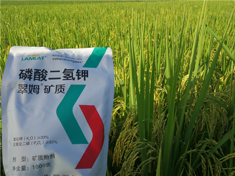 葉面肥，水稻灌漿肥，拉姆拉