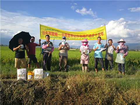 葉面肥，水稻灌漿肥，拉姆拉