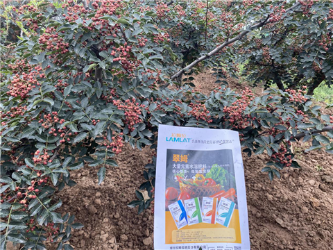 花椒種植，大量元素水溶肥，翠姆