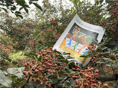 花椒種植，大量元素水溶肥，翠姆