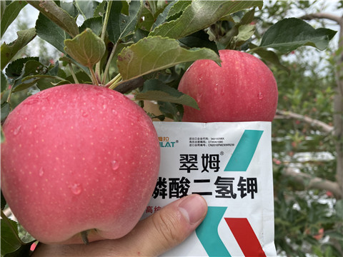 高鉀水溶肥，磷酸二氫鉀，拉姆拉，翠姆