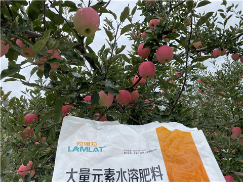 進(jìn)口水溶肥品牌，拉姆拉，翠姆