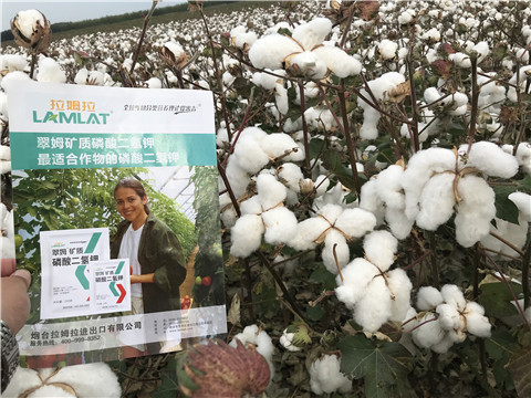 進口水溶肥，翠姆，拉姆拉