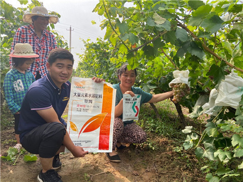 進(jìn)口水溶肥，拉姆拉