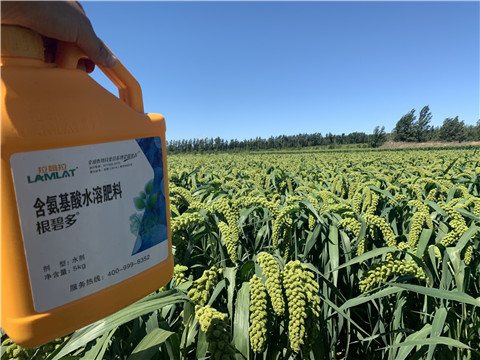 磷酸二氫鉀，拉姆拉，翠姆