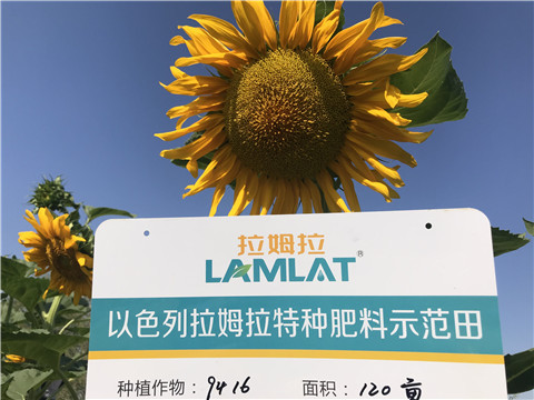 進(jìn)口水溶肥，拉姆拉